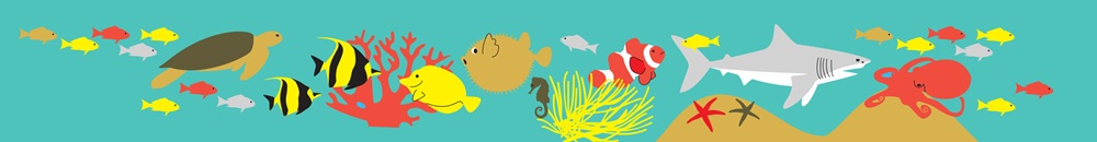 ruban-poisson
