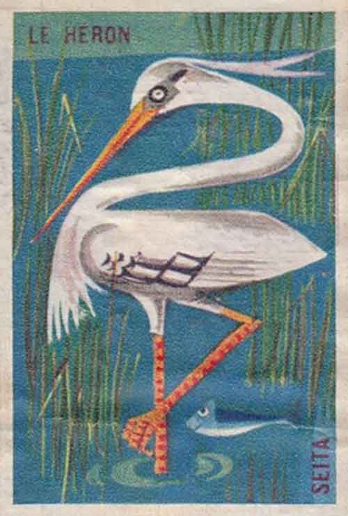 illustration-heron-boite-allumette