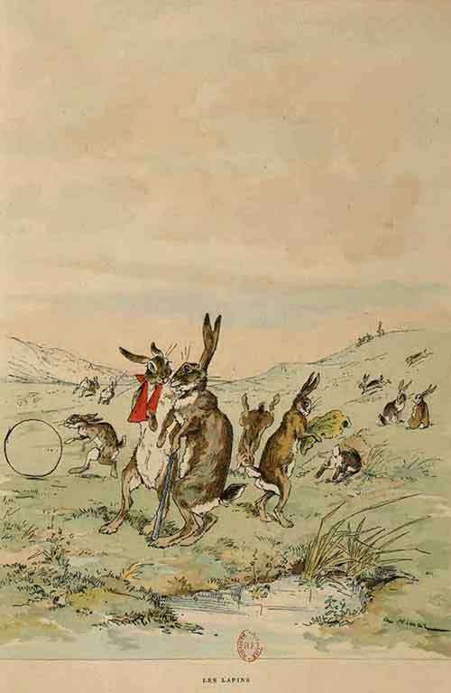 illustration-les-lapins-vimar