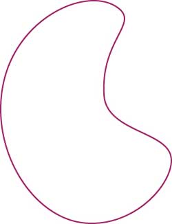 forme-thermocollant-haricot